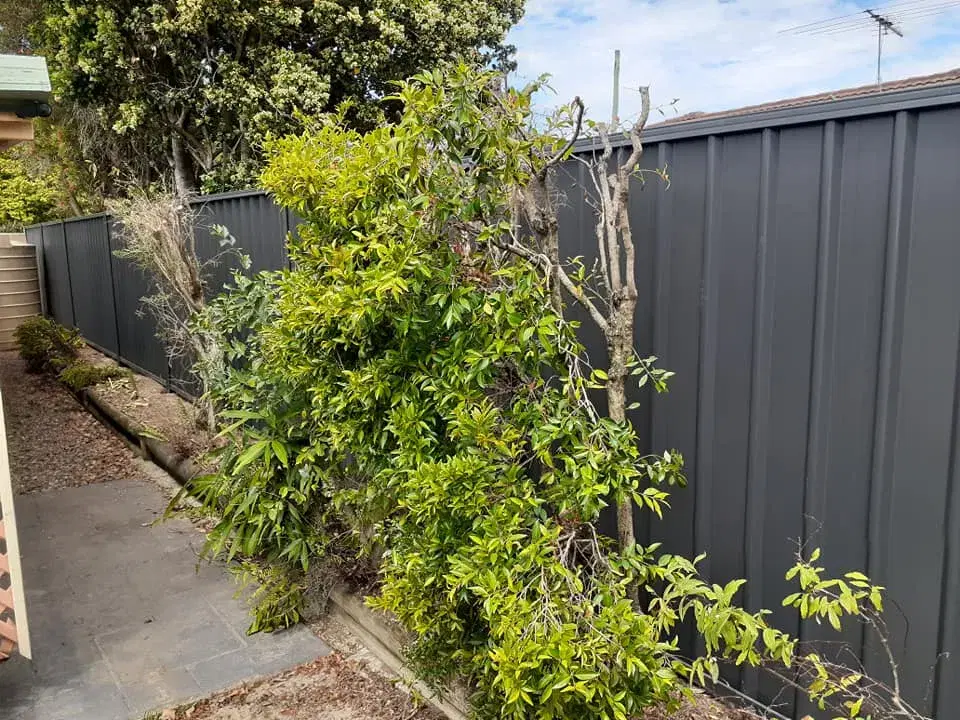 A2Z Perth Fencing completed project 98