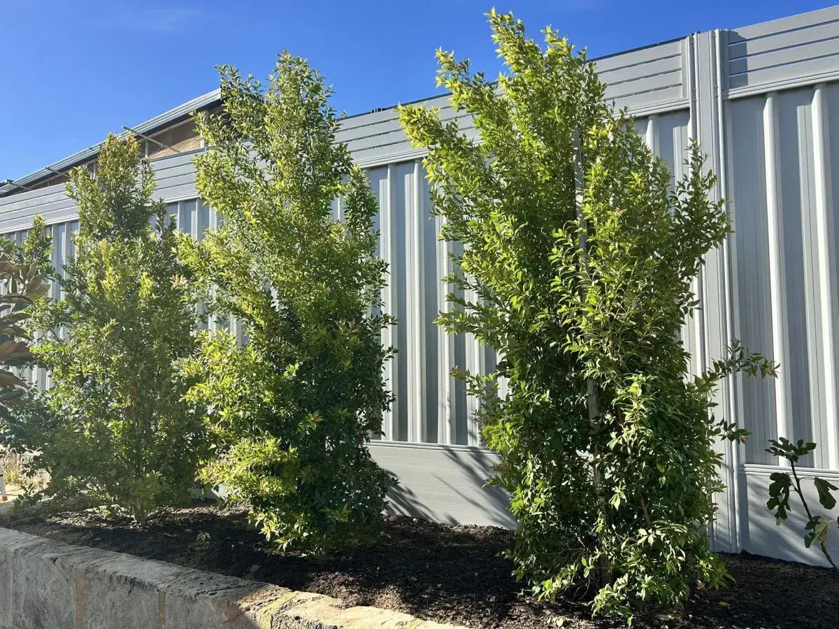 A2Z Perth Fencing completed project 33